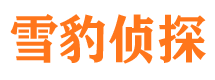 涵江侦探公司